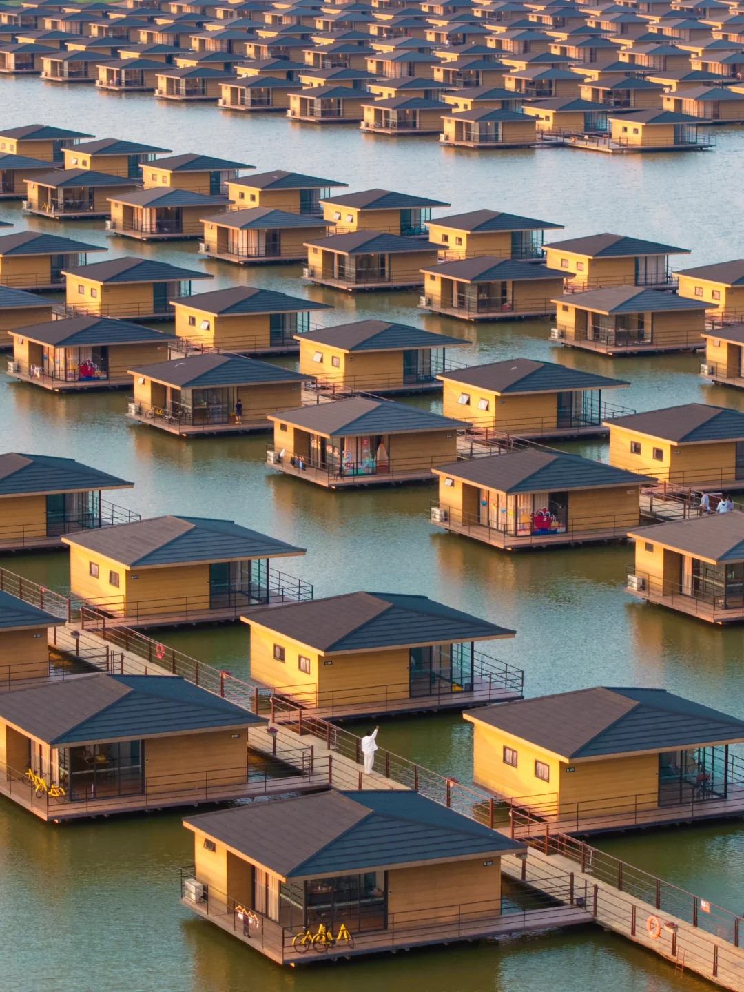 朋友圈被问疯了🤣真不是国外！是河北‼️