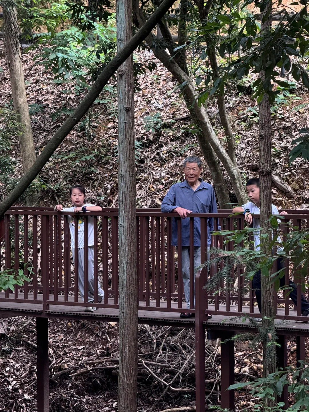 把这条推给所有千岛湖本地人