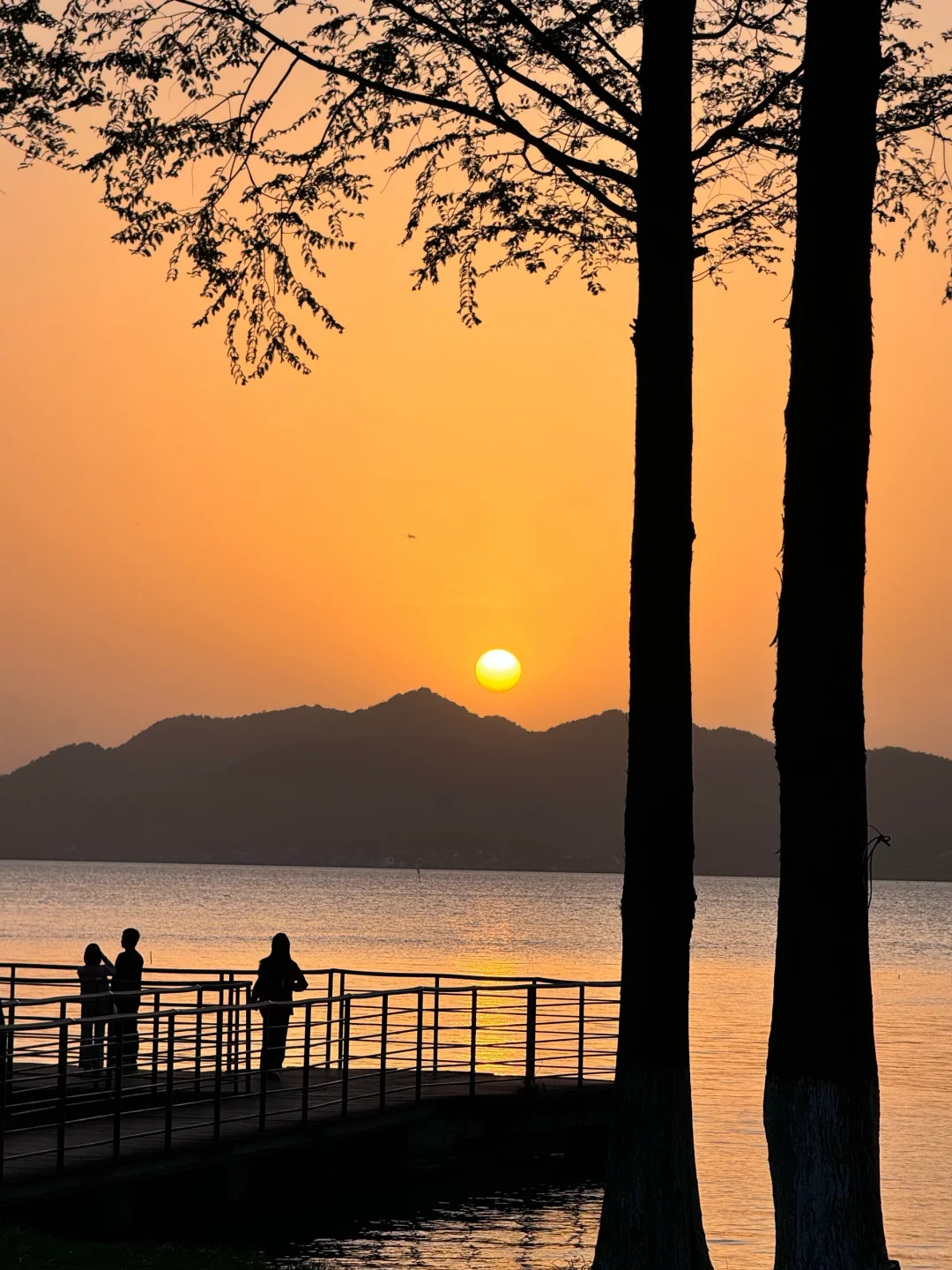 端午要来宁波的宝子们注意啦！来宁波前必看