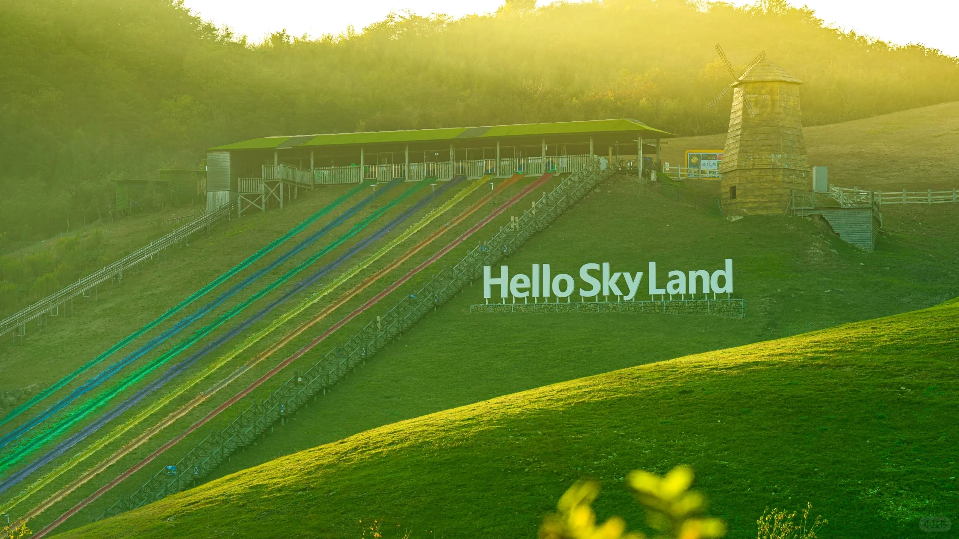 可惜你不来安吉❗️不知道悬崖上的草原多好玩