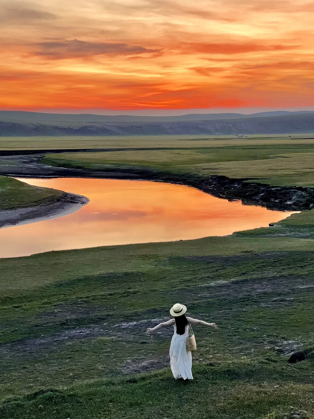 初夏的呼伦贝尔，美到失语！！！