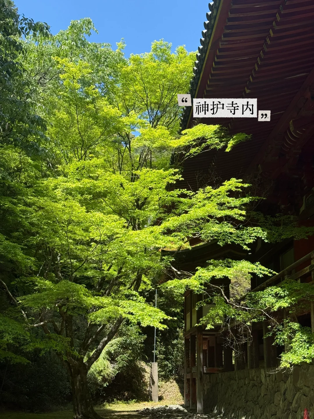 避开人潮！京都初夏绿径，高雄线徒步攻略
