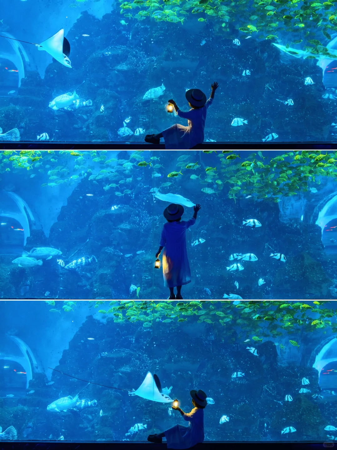 不在计划中❗️但却是威海旅行中最值得的一站