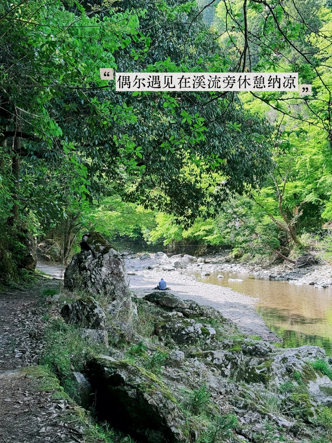 避开人潮！京都初夏绿径，高雄线徒步攻略