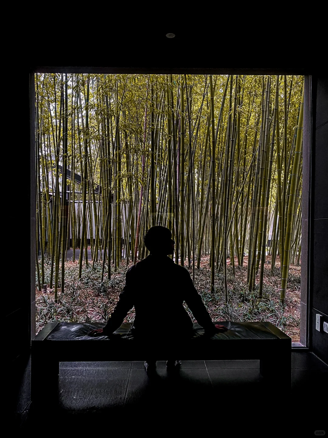 对我的端午节苏州攻略满意到睡不着觉……