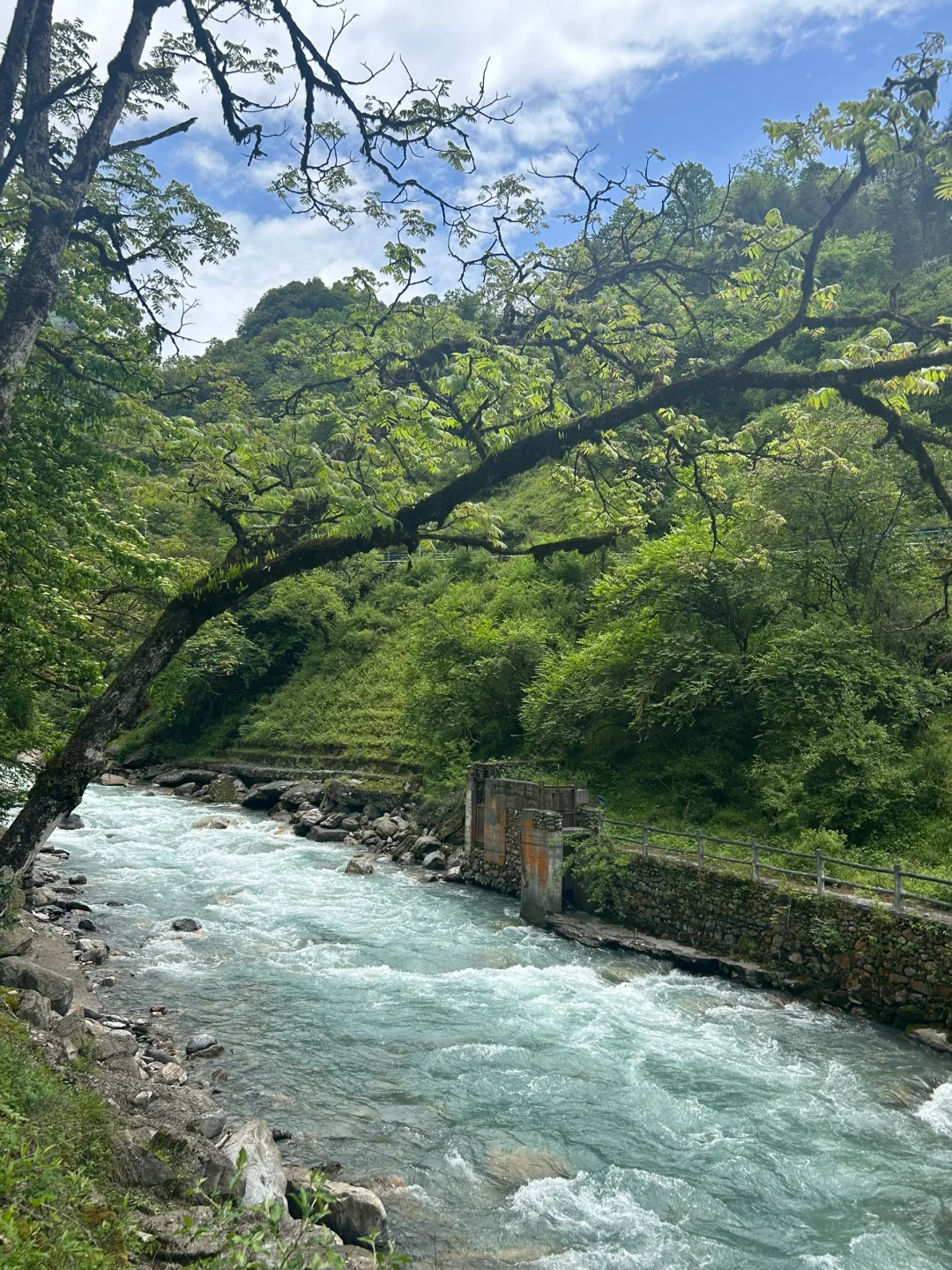 成都周边徒步|5.25实拍!喇叭河超美✅附攻略