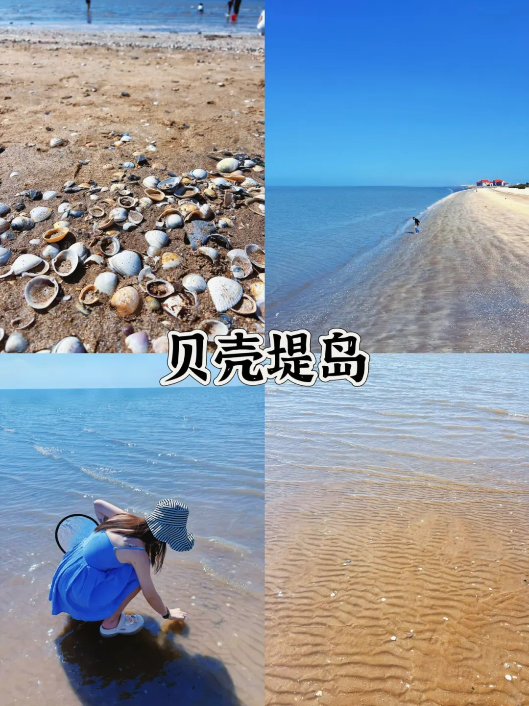 玩转滨州看这一篇就够了👇🏻详细攻略