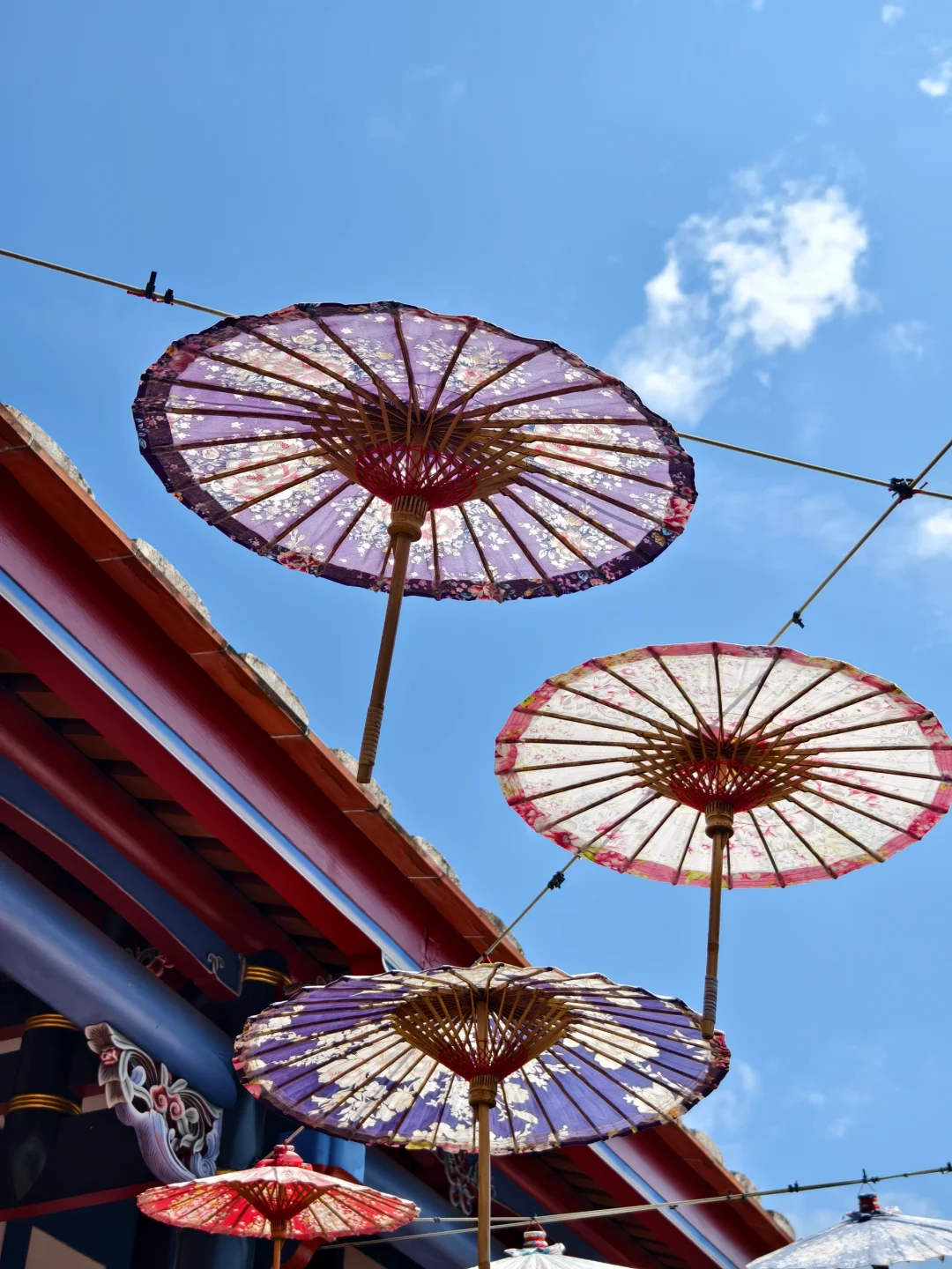 企鵝花絮 - 成美文化園B CUT