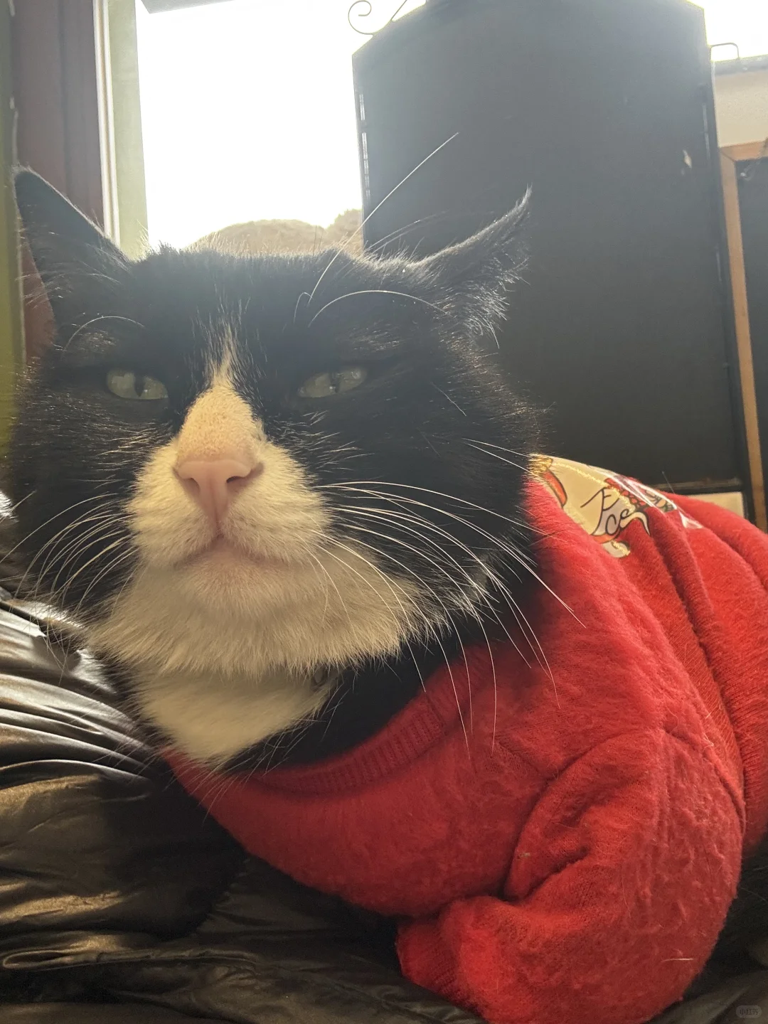 苏州刚回来，给点个人片面的攻略