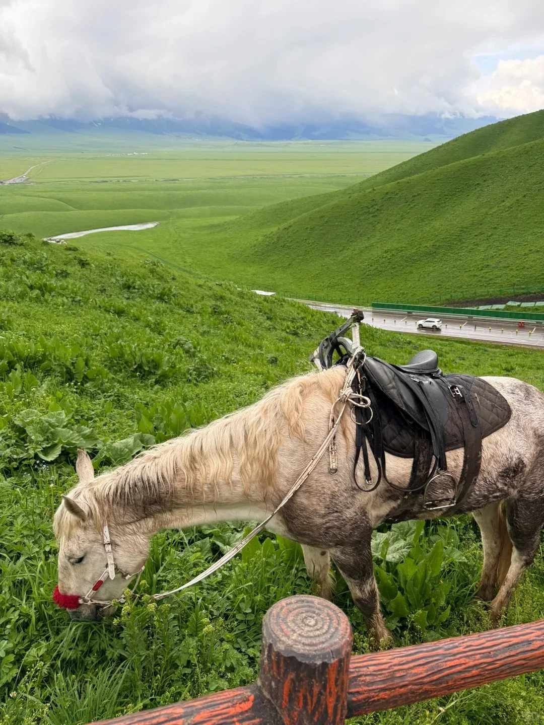 新疆已📍崩无可崩！看完决定6-8月来不来