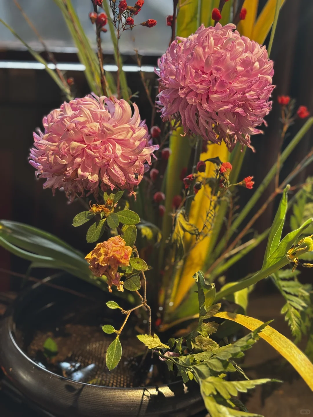 苏州刚回来，给点个人片面的攻略