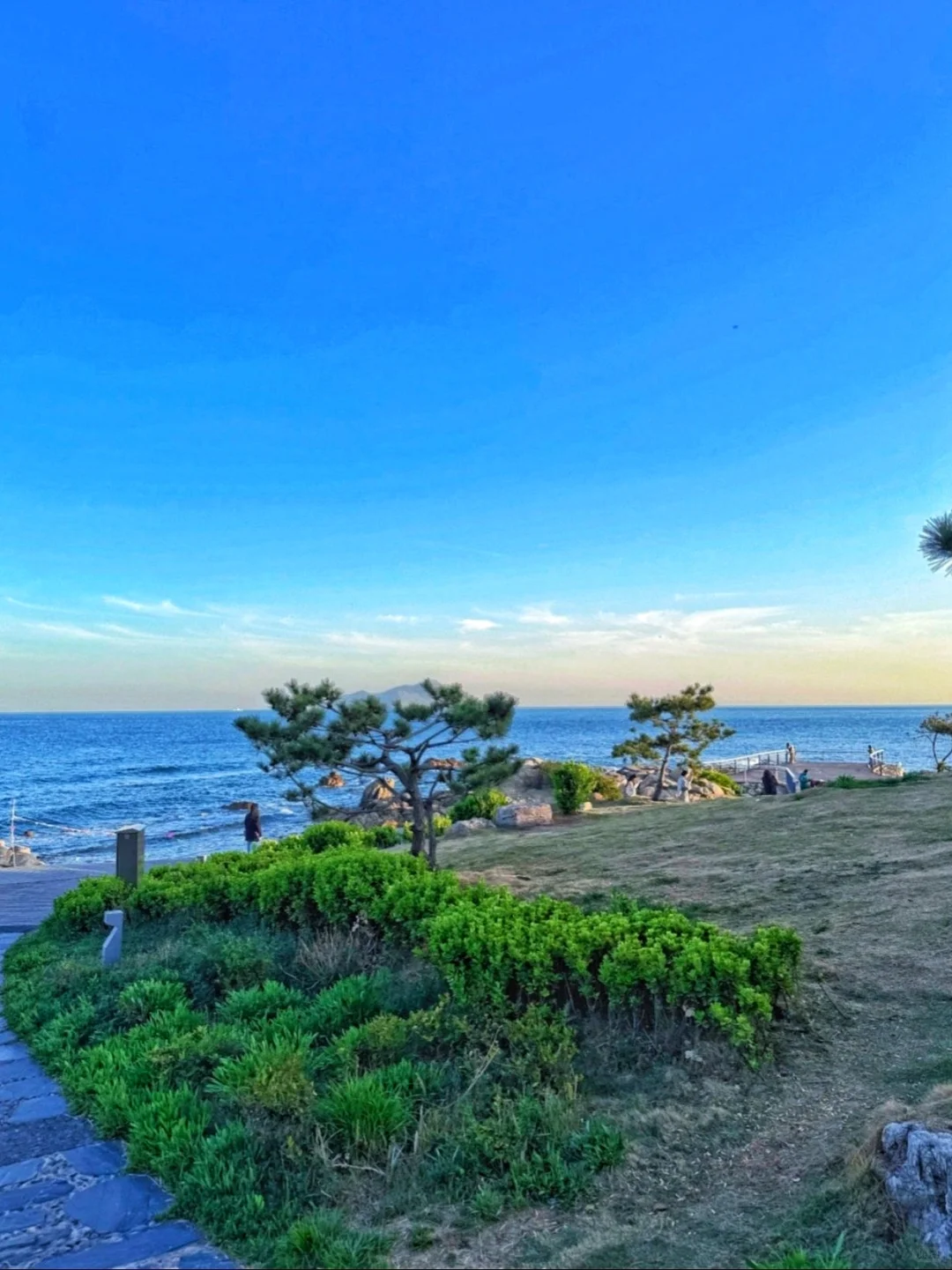 五一到青岛哈啤酒🍺吃蛤蜊🐚