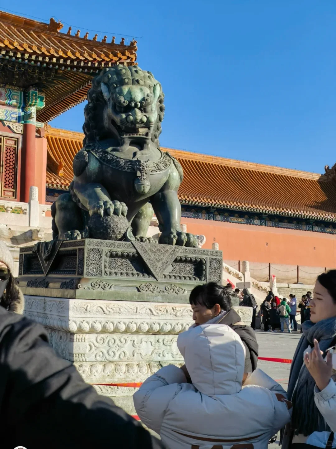 故宫讲解｜天天发团｜一直🉑约