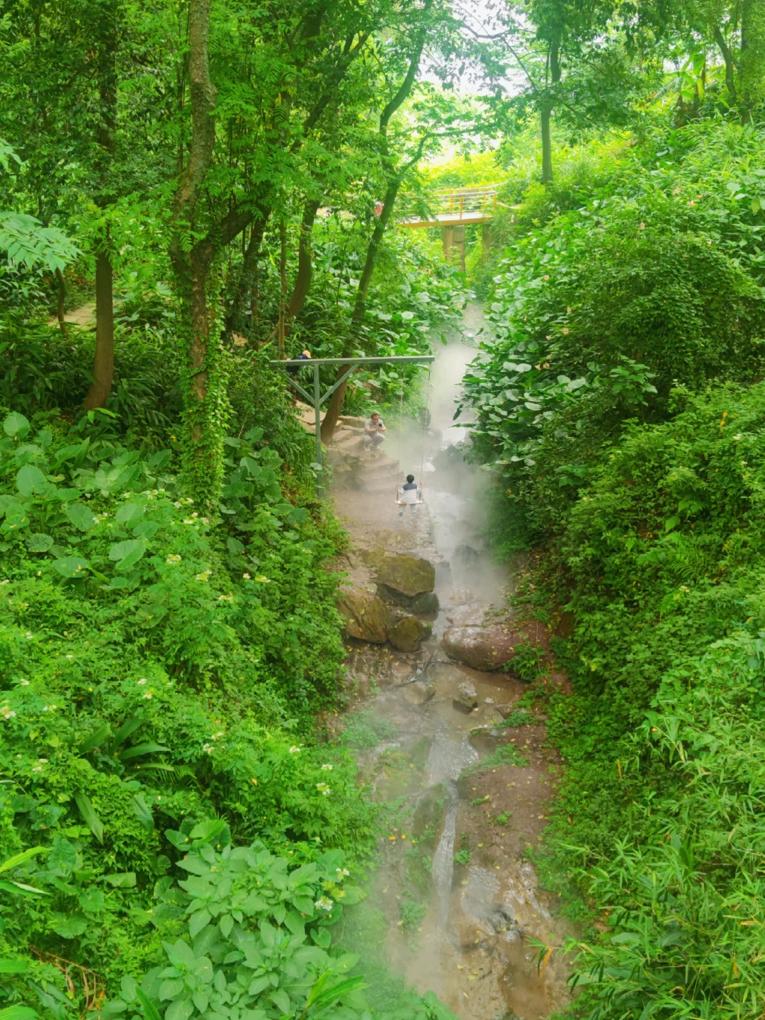 金刚碑的live图可以封神了🎄