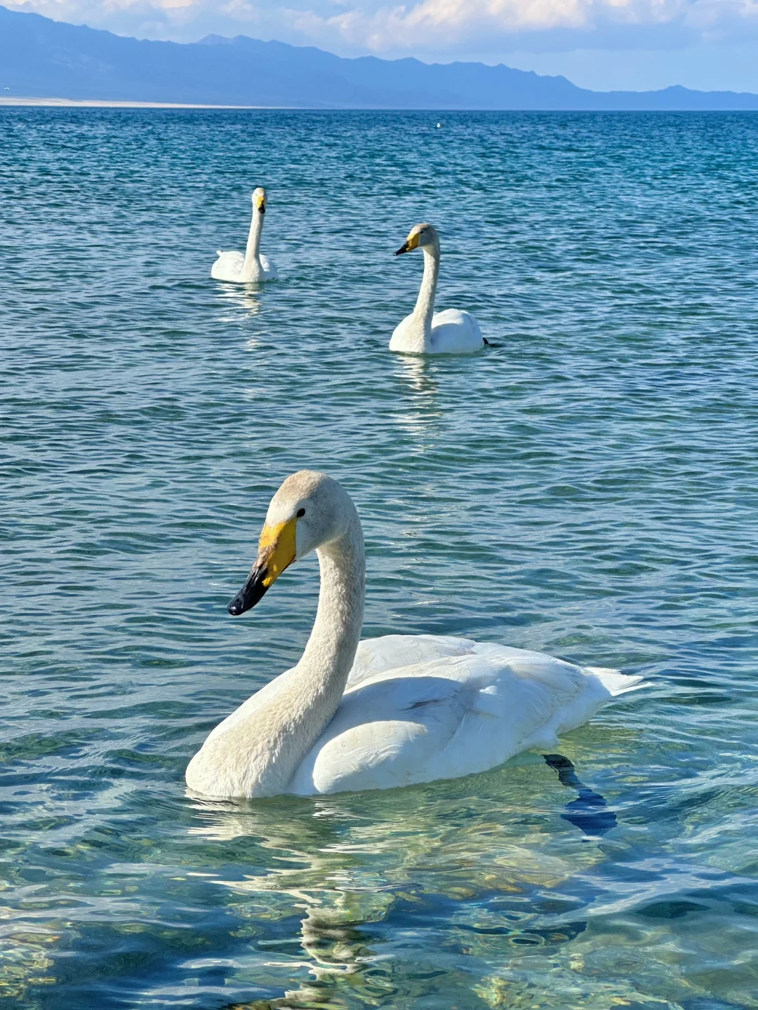 新疆跟团已回,谈谈北疆真实消费!(永不删)