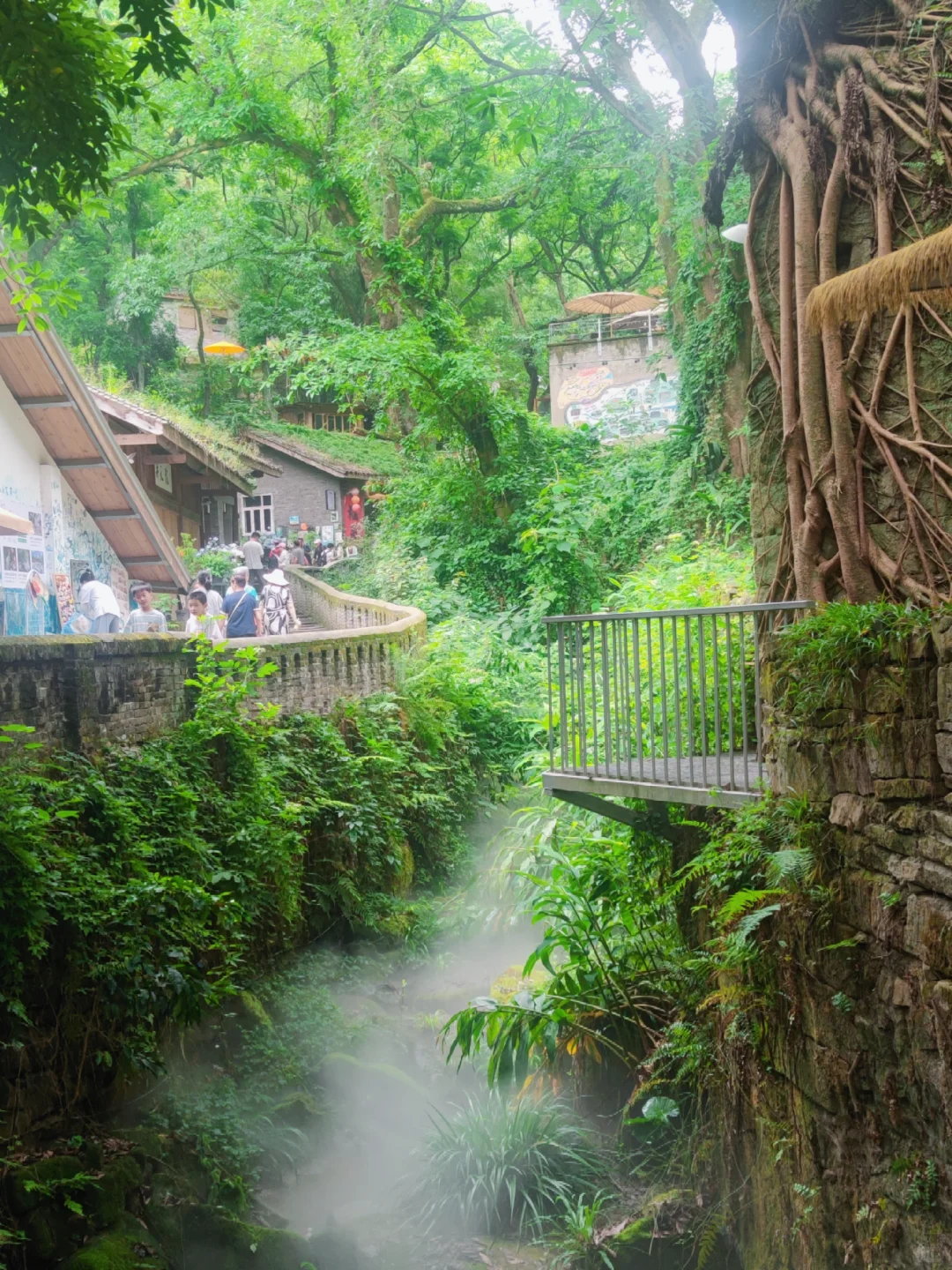 金刚碑的live图可以封神了🎄