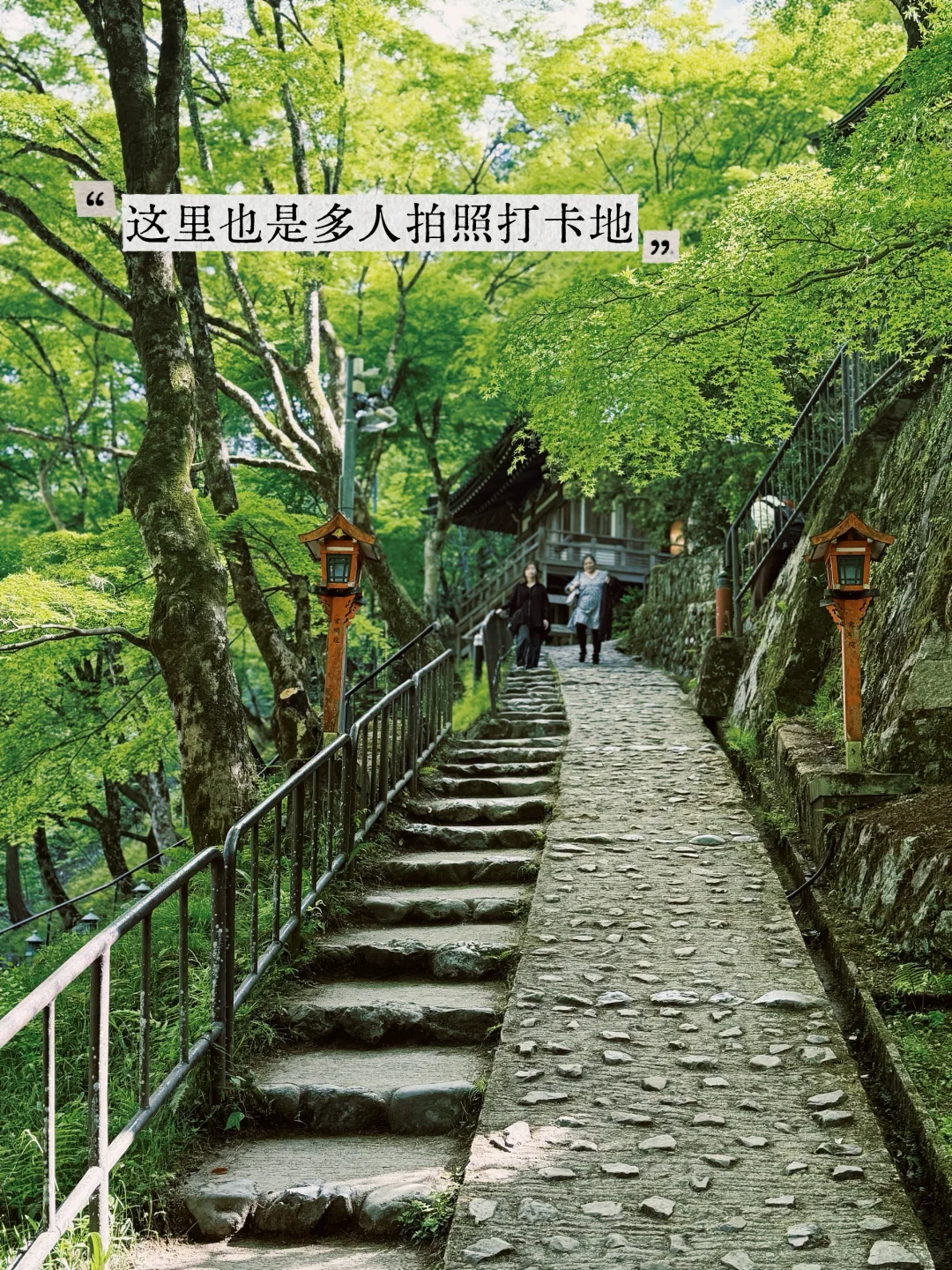 避开人潮！京都初夏绿径，高雄线徒步攻略