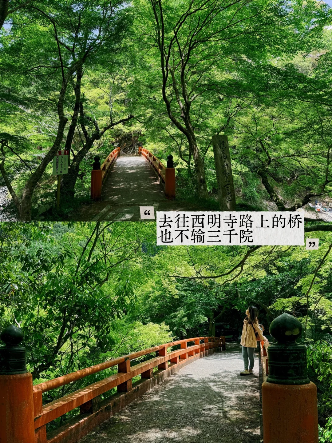 避开人潮！京都初夏绿径，高雄线徒步攻略