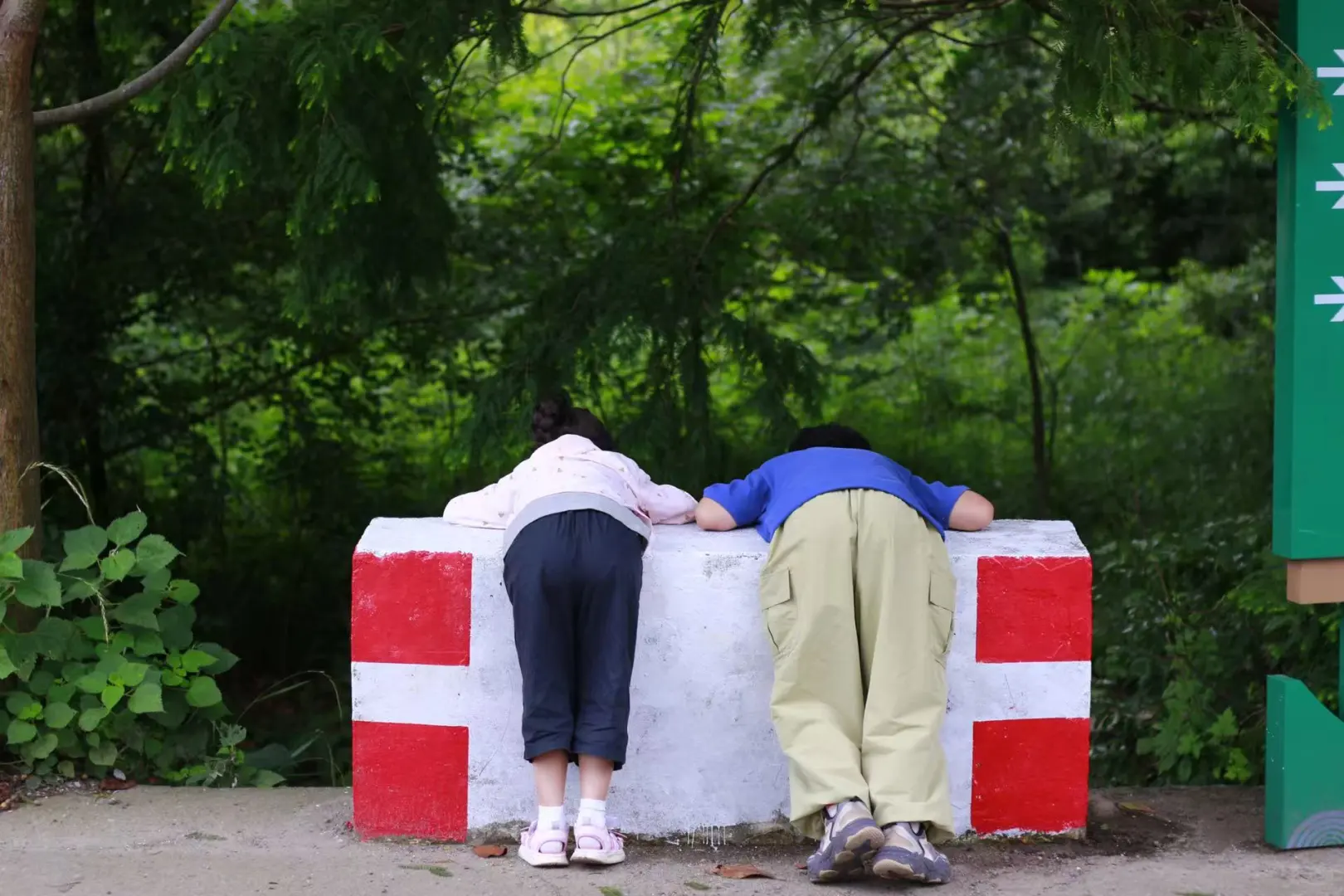 🍃宁波周末亲子徒步🌿第一站 福泉茶山