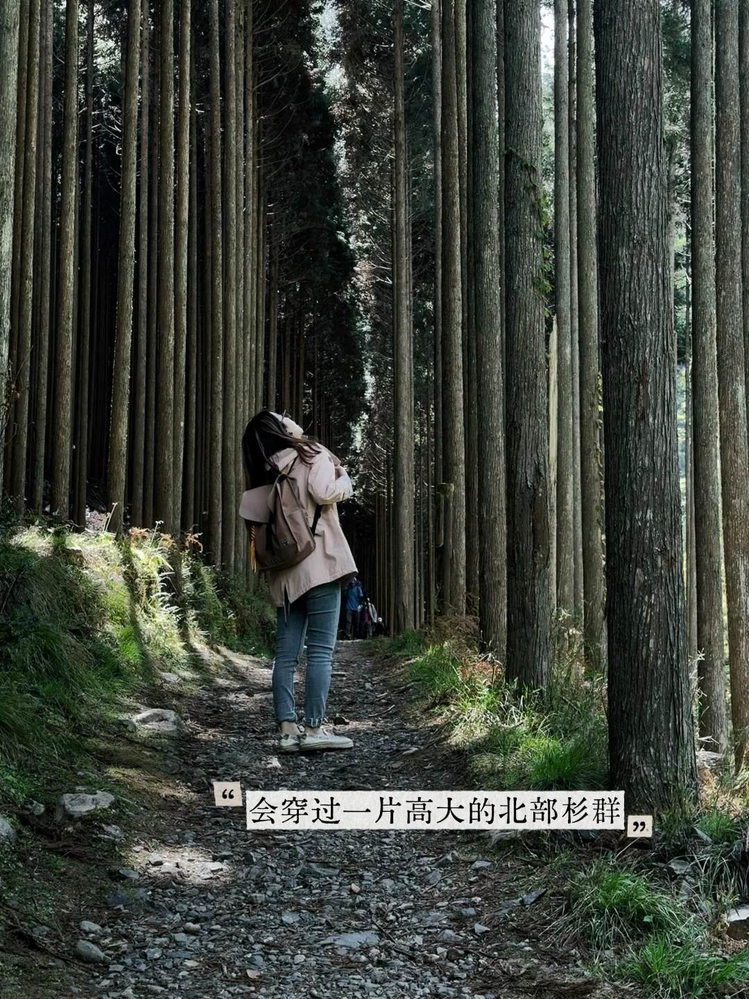 避开人潮！京都初夏绿径，高雄线徒步攻略