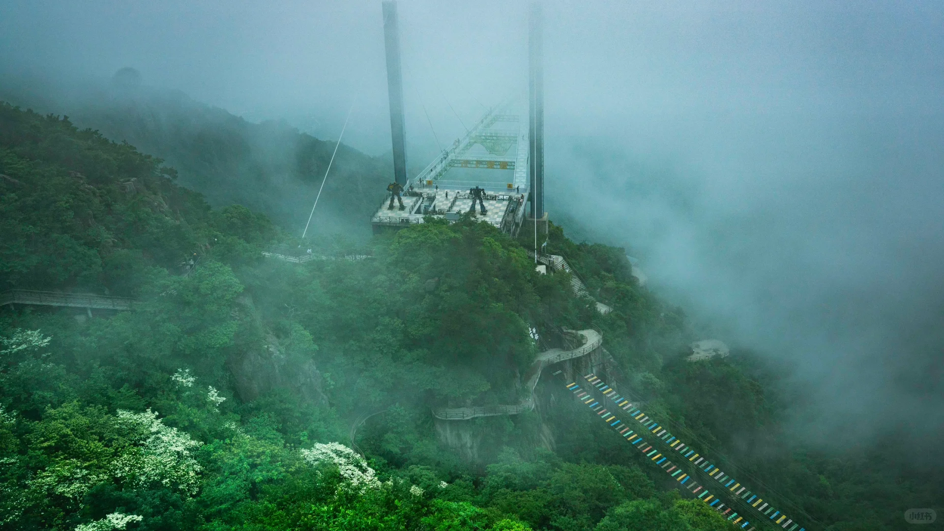 可惜你不来安吉❗️不知道悬崖上的草原多好玩