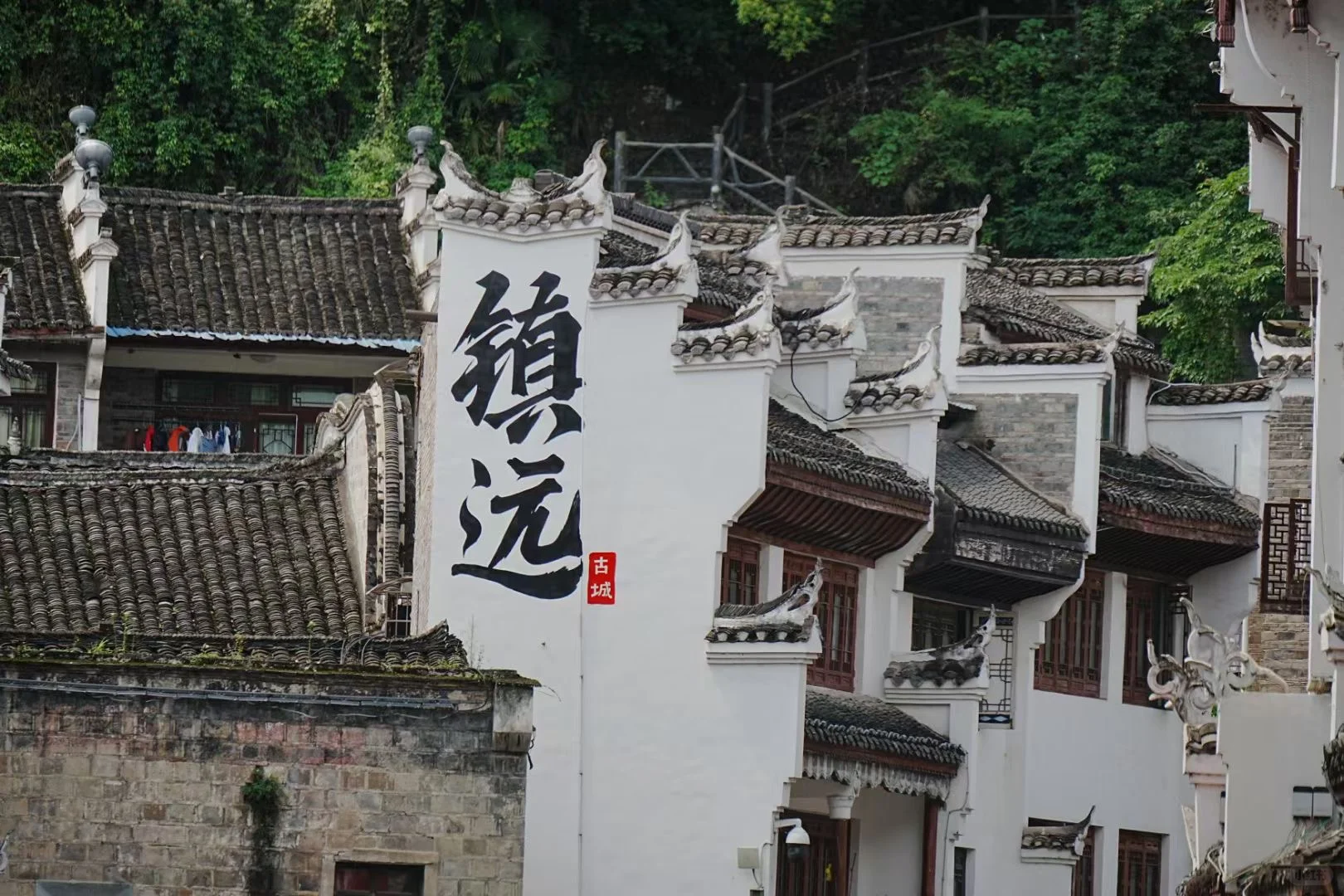 端午❗️❗️我们一起去镇远看龙舟吧❤️