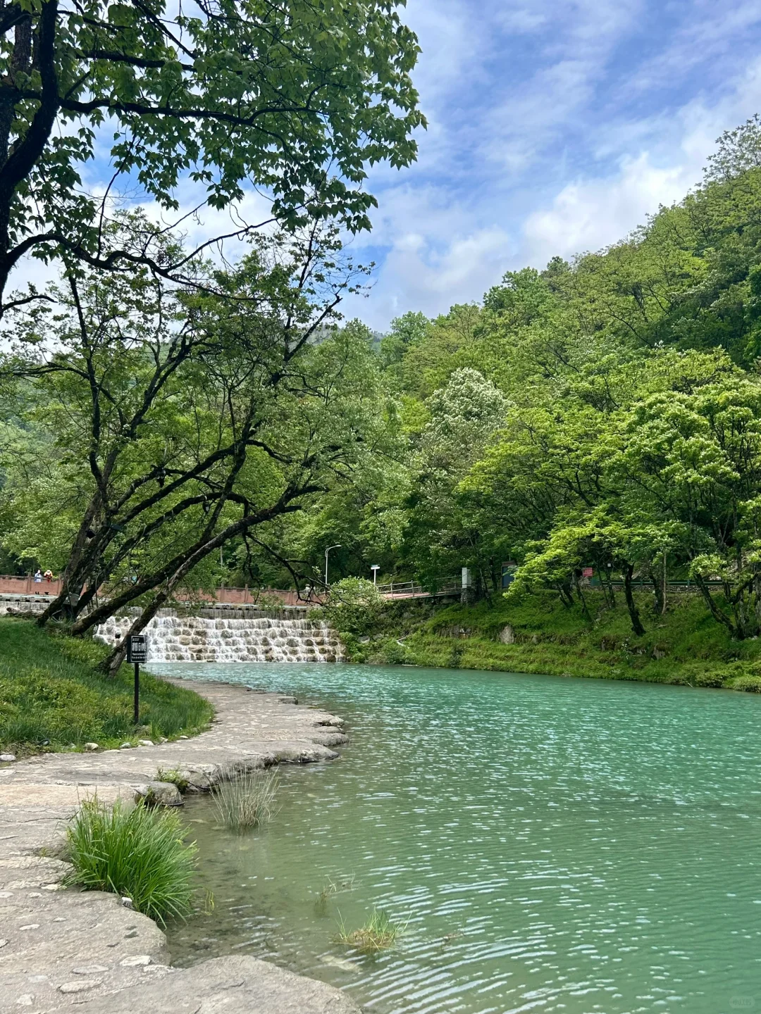 成都周边徒步|5.25实拍!喇叭河超美✅附攻略