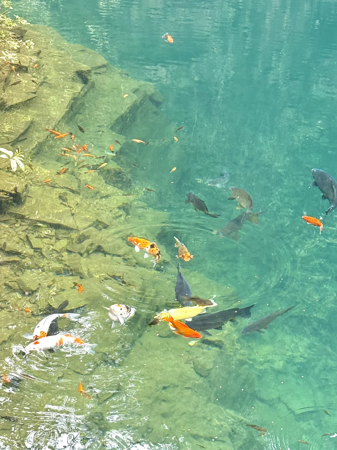 一起去“吸氧”吧