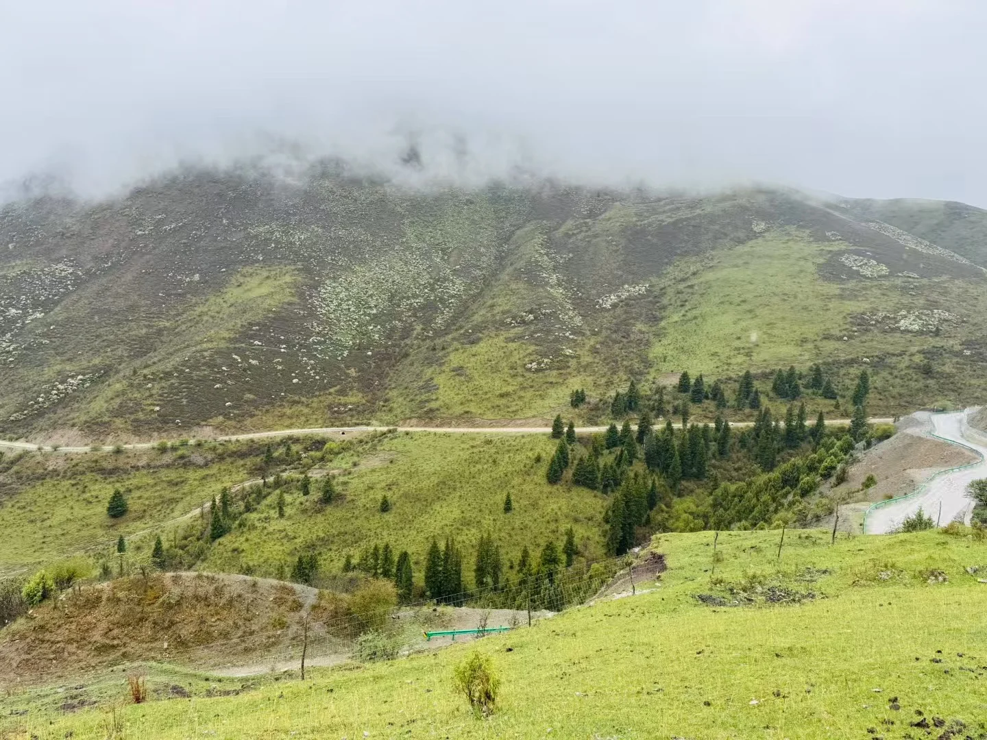 甘南3日游天花板‼️遇到神仙领队小胡