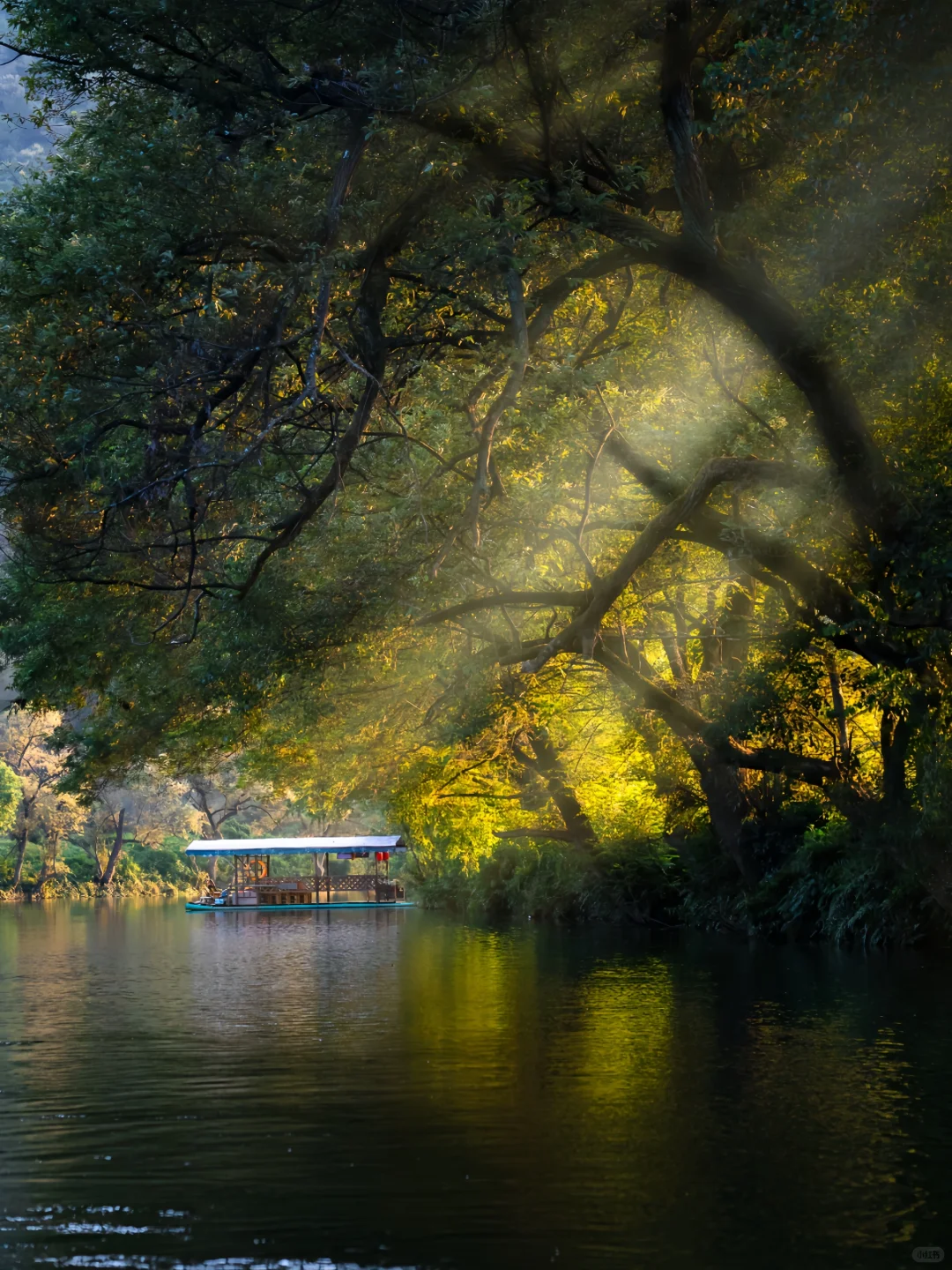 迄今为止❗我最喜欢的治愈小城出现了❗