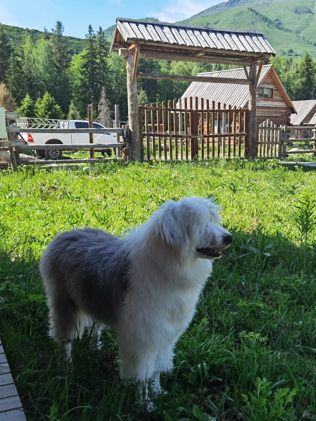 女生一人勇闯新疆旅游已回