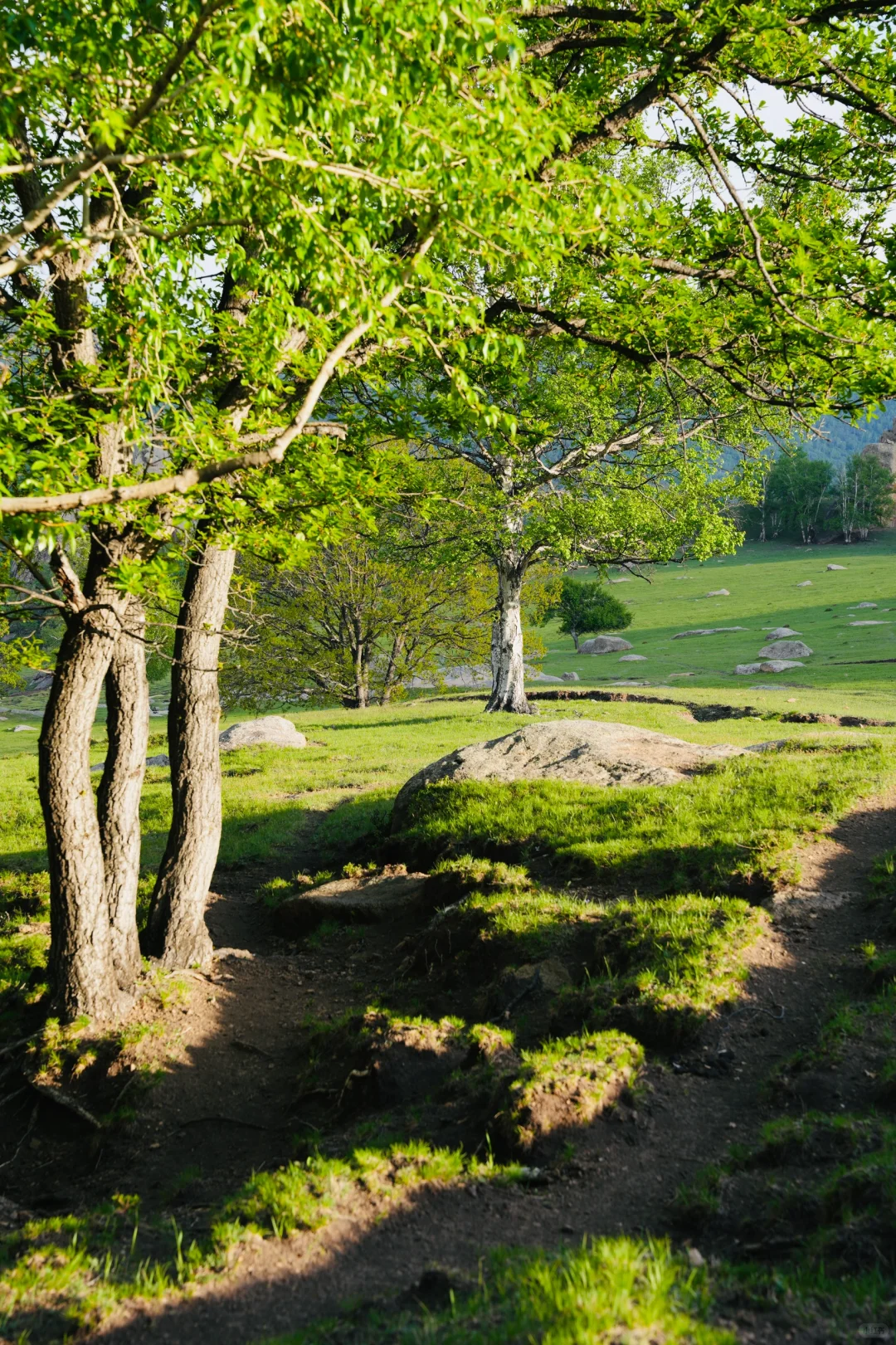 北京出发赤峰大青山两天一晚