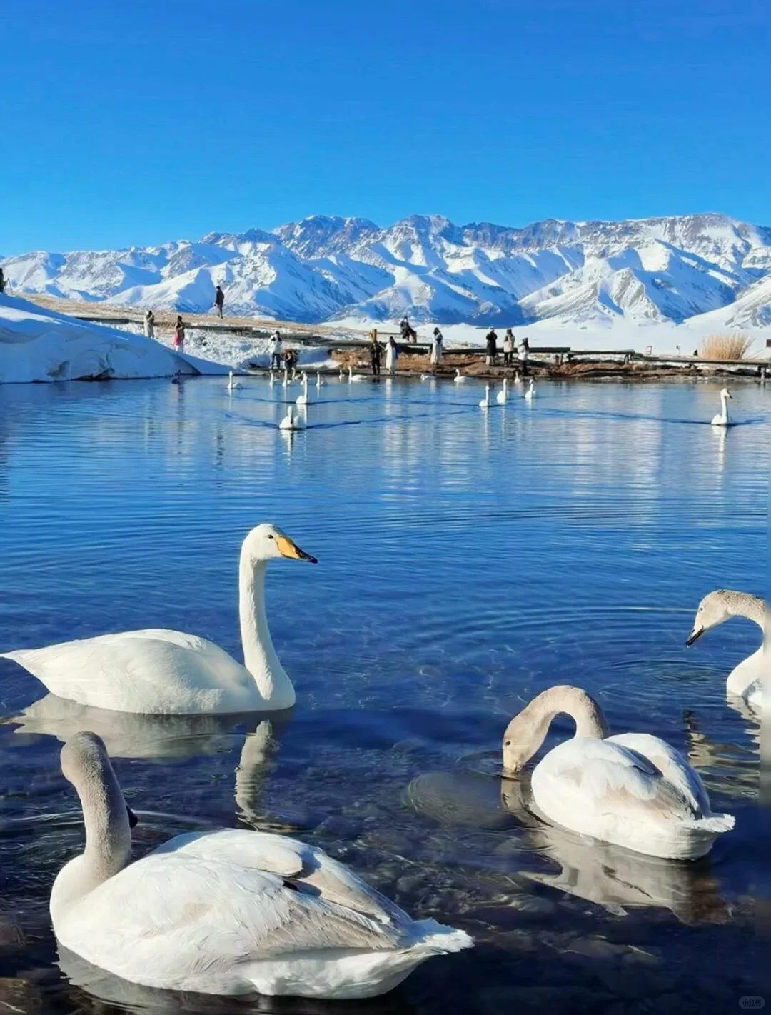 💥伊犁9大必去！美到窒息💯