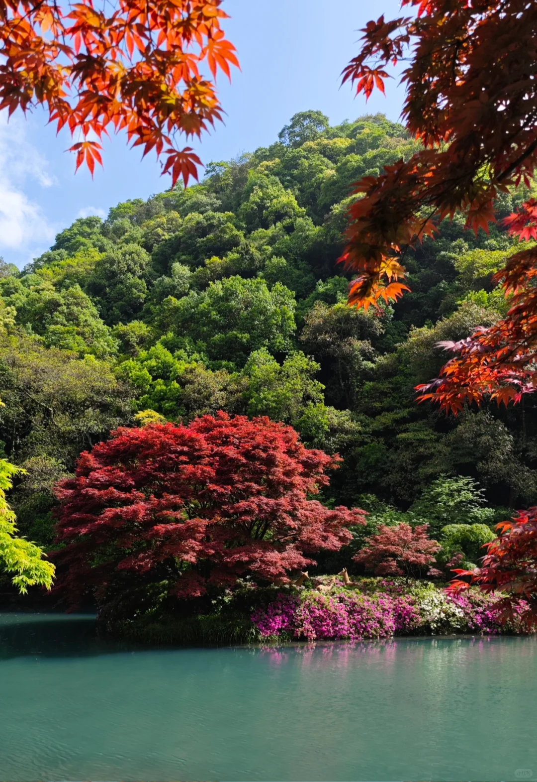 杭州｜五月份的杭州美出了天际
