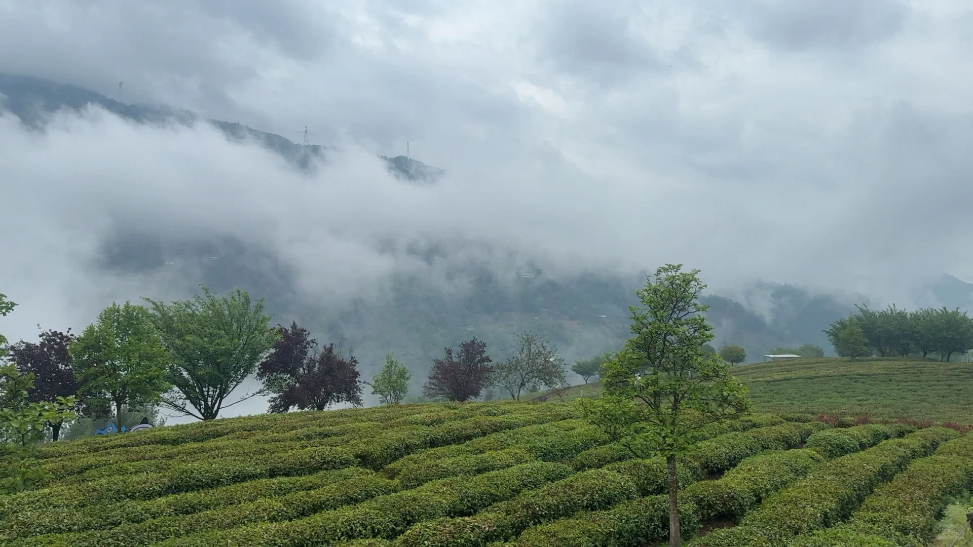 距西安3h|人均200玩转陕西8D魔幻“小重庆”