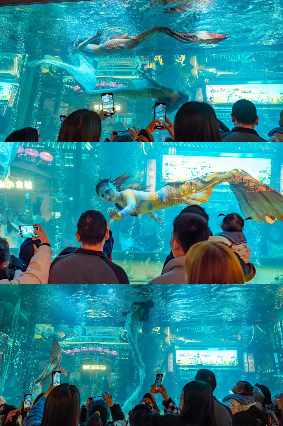 救命！一秒穿越回大唐盛宴，我很怕它火❗