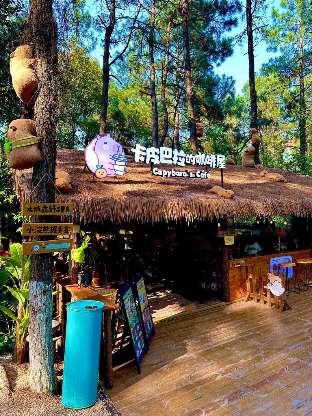 端午节王炸玩法!避开人从众的秘境被找到啦