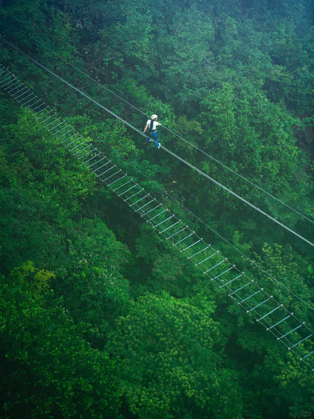 可惜你不来安吉❗️不知道悬崖上的草原多好玩