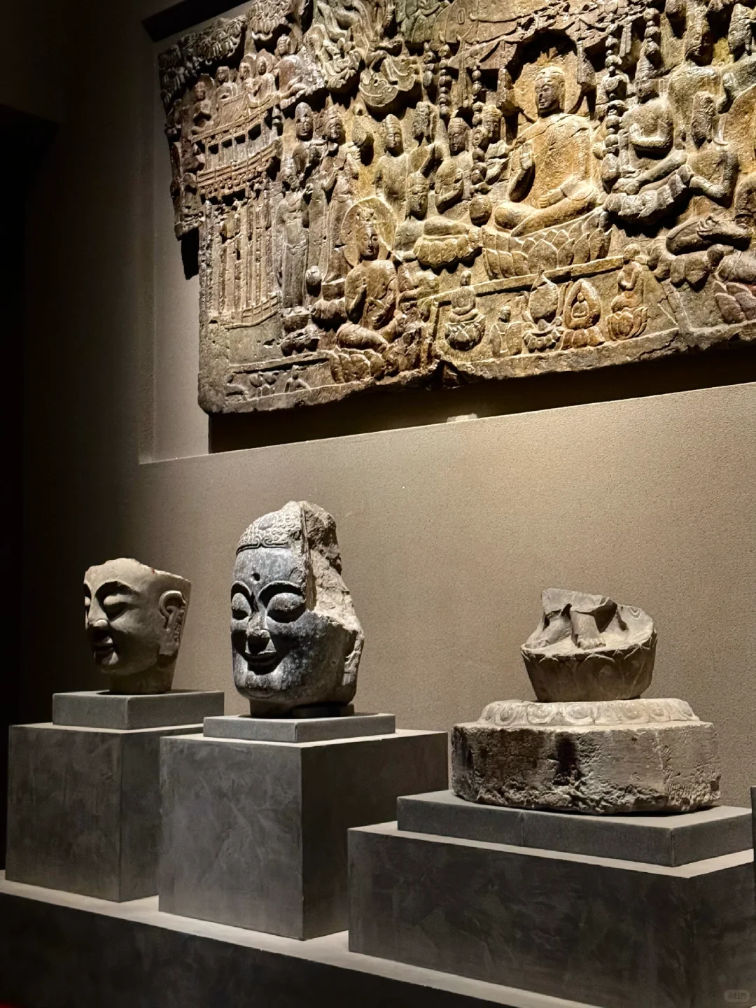 “仿佛看见南北朝的阳光照进现实”