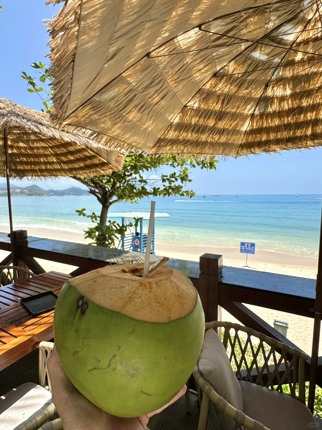 三亚刚回…本j人对自己的旅游复盘甚是满意！！