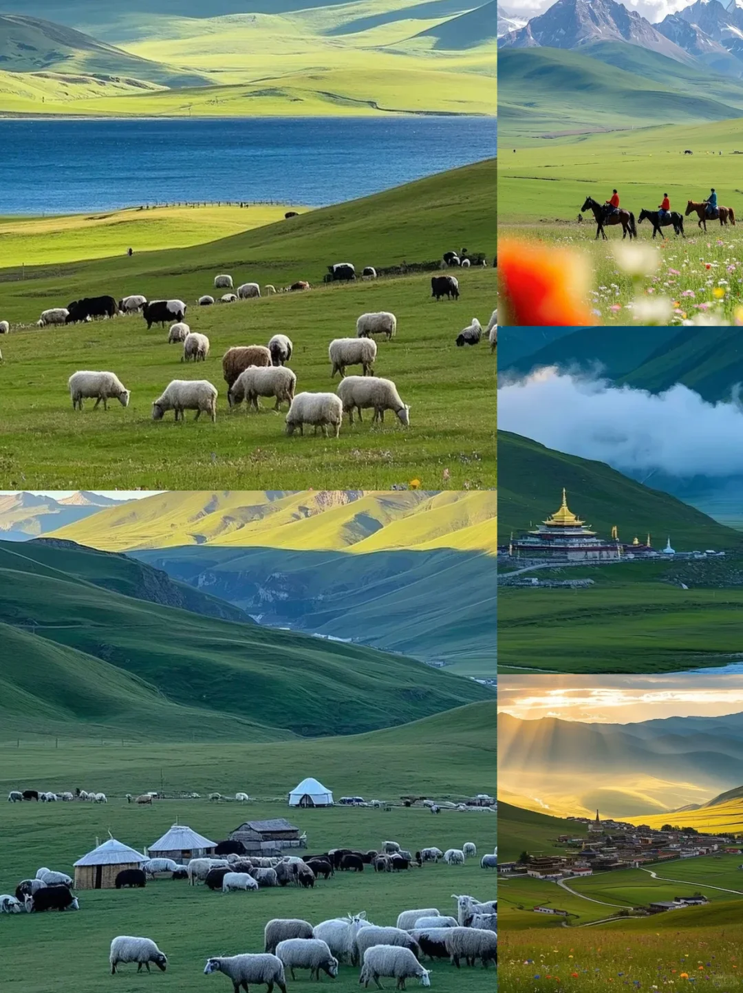 被《国家地理》评为此生必去的地方❗甘南