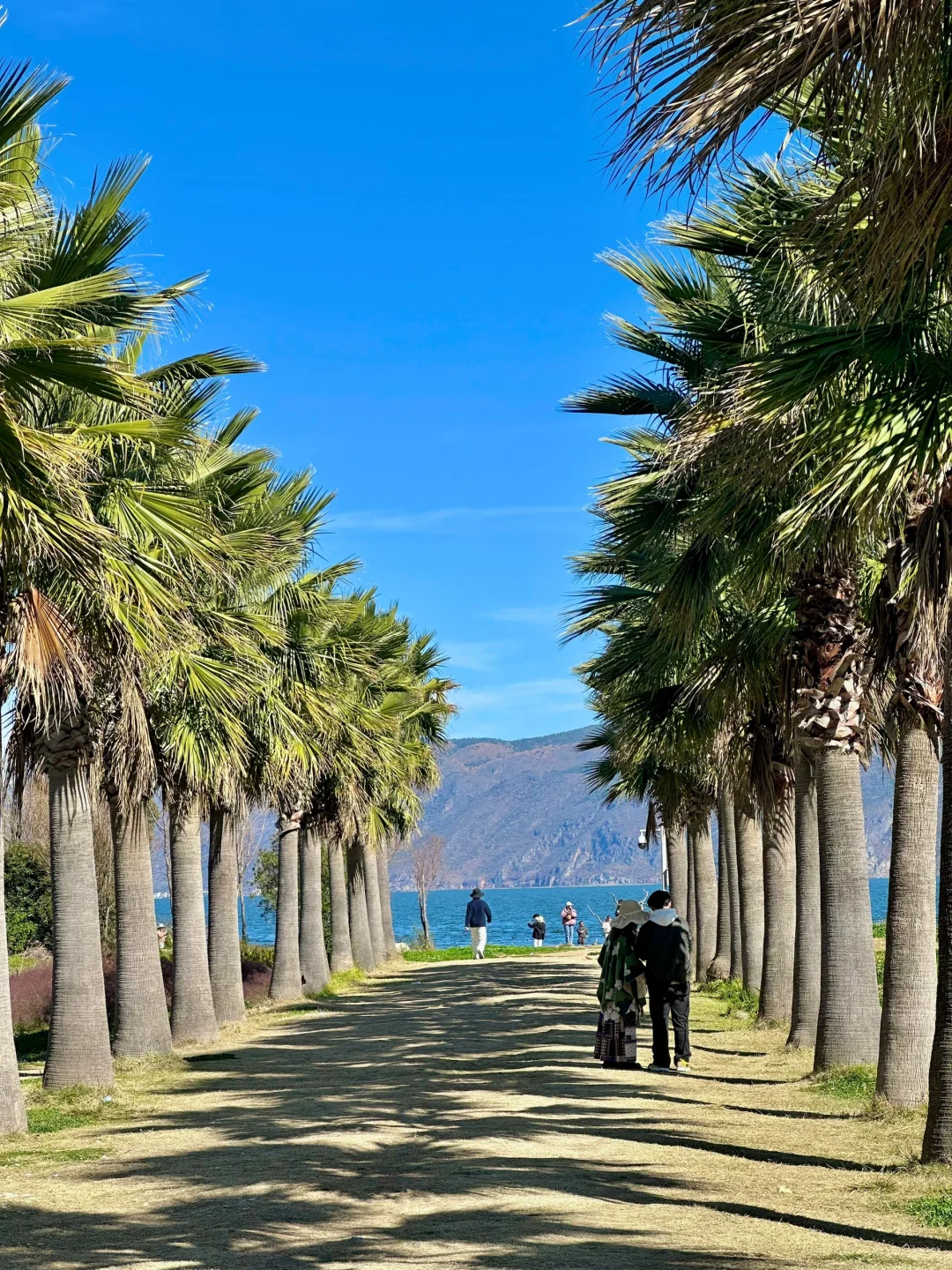 大理已回❗️真心提醒5~6月要去的姐妹们😓