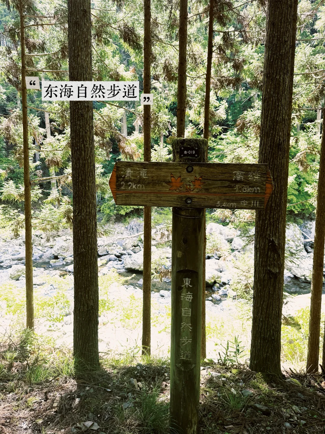 避开人潮！京都初夏绿径，高雄线徒步攻略