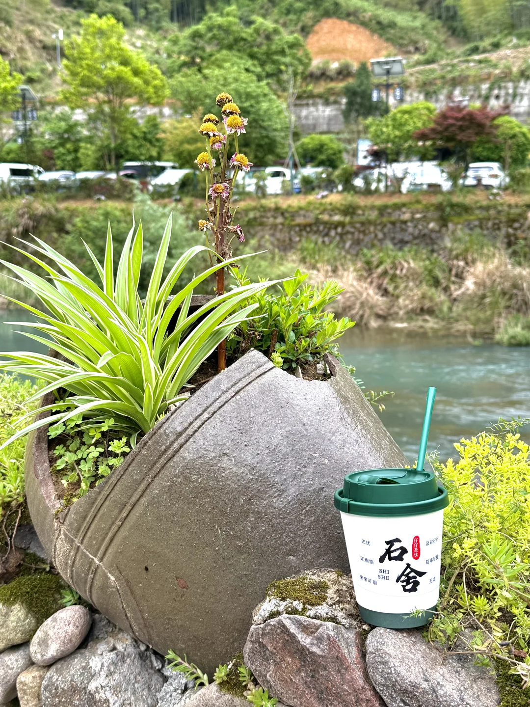 一起去“吸氧”吧