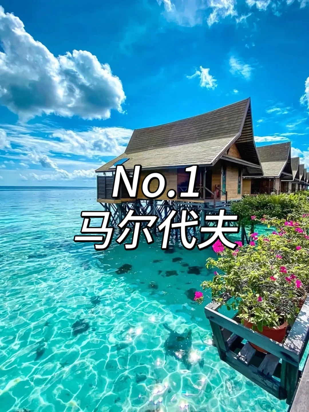 💕9大绝美免签海岛大揭秘！