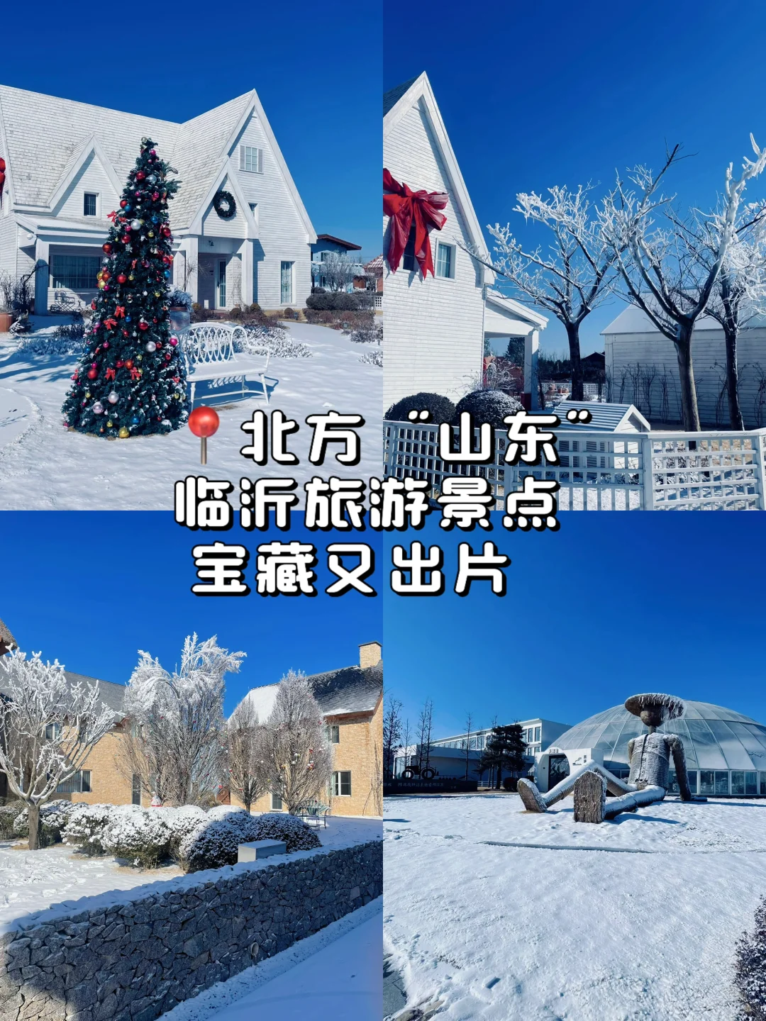 雪落山东，醉东风藏着的冰雪绮梦！