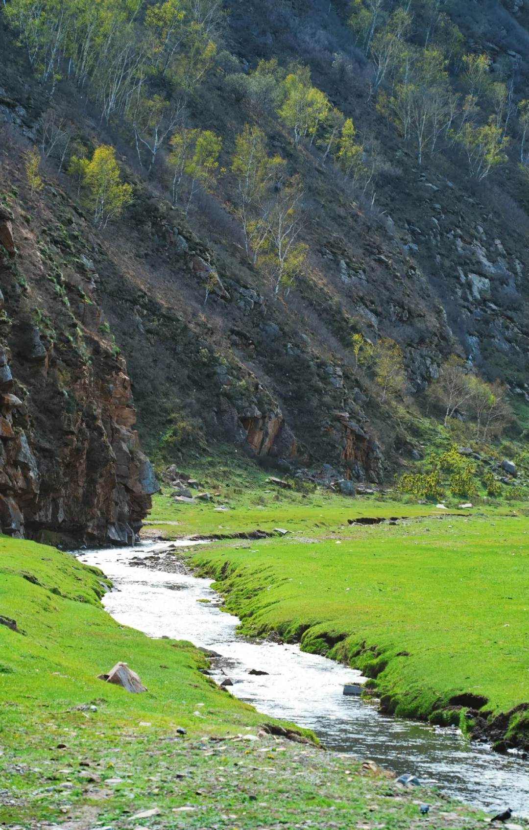 暑期逃离计划！！2h直达京北“小新疆”