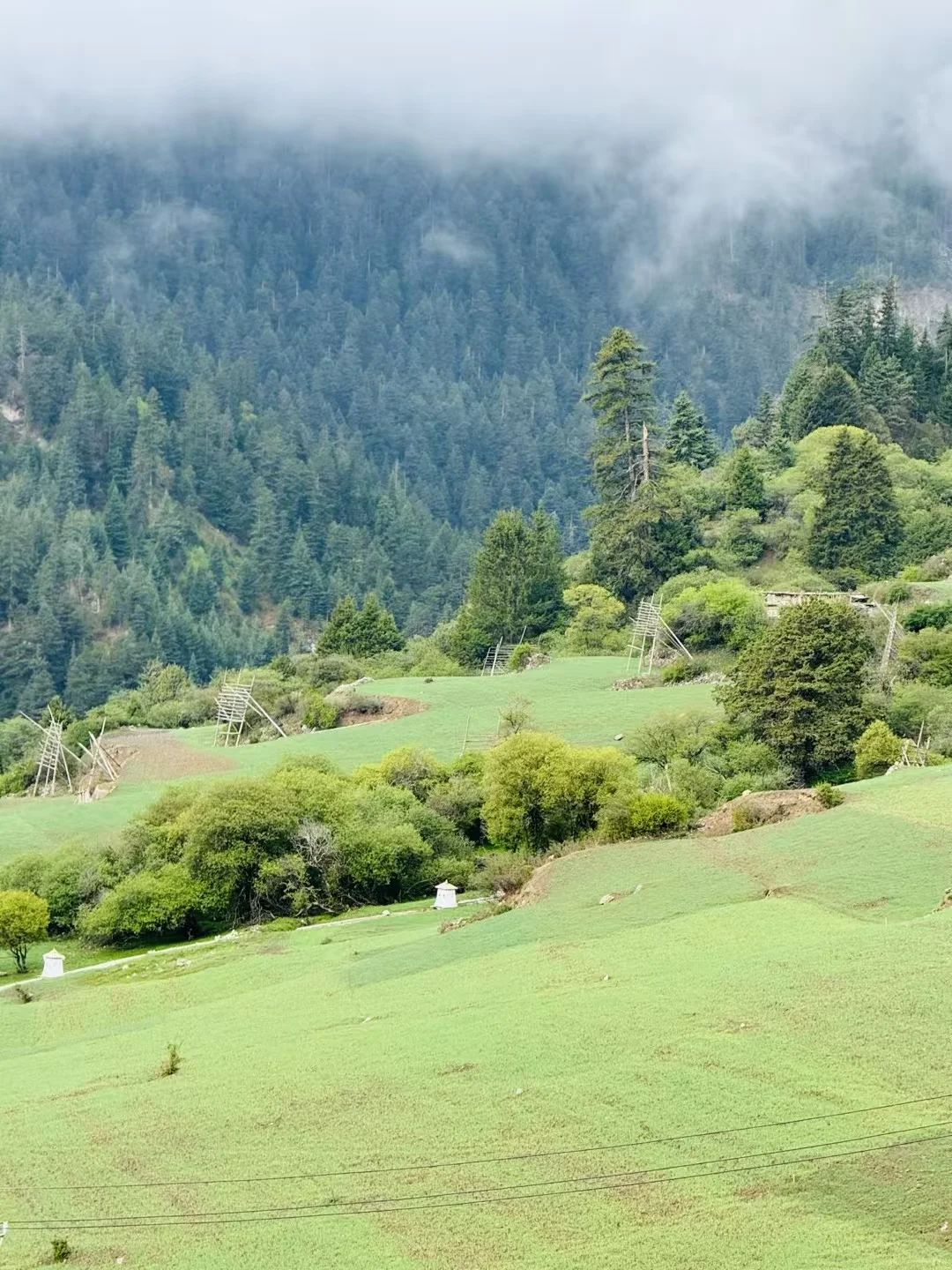 甘南3日游天花板‼️遇到神仙领队小胡