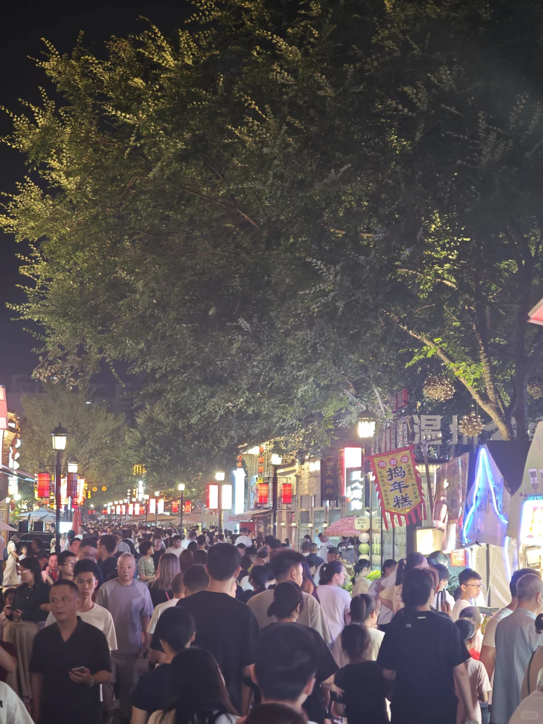 端午温州旅游现状。。