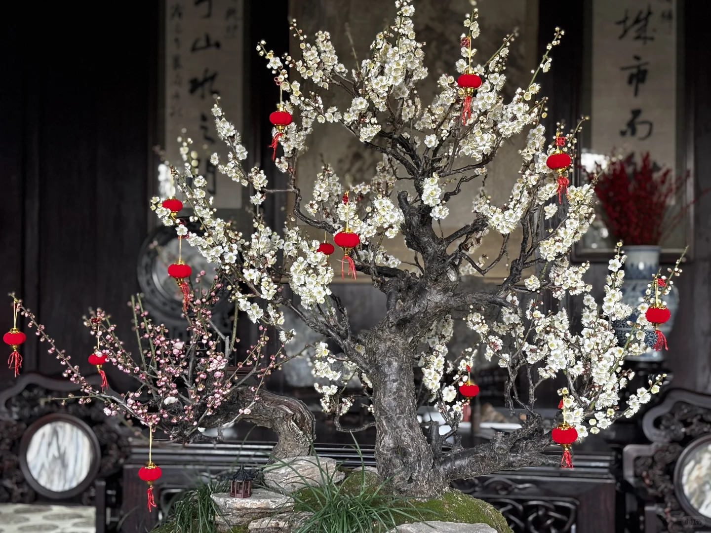 苏州刚回来，给点个人片面的攻略